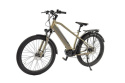 Rower elektryczny górski Geobike WEE Dolphin CC bat. 672 Wh (48V 14 Ah) kolor silver metallic